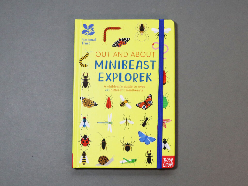 „Minibeast explorer” – świetna książka o owadach dla dzieci z seri Out and about